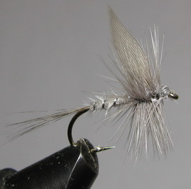 ���� ����� Dry fly Quill DFQ 17  